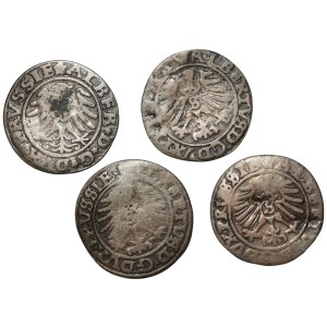 Prusy Książęce, Albrecht Hohenzollern, Zestaw szelągów 1530-59, Królewiec