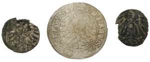 Ducal Prussia, Albrecht Hohenzollern, Coin Set