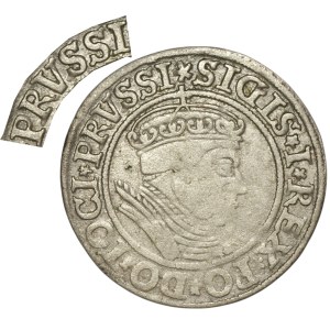 Zygmunt I Stary, Grosz dla ziem pruskich 1534, Toruń - RZADKOŚĆ