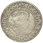 Zygmunt I Stary, Grosz dla ziem pruskich 1534, Toruń - RZADKOŚĆ