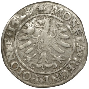Zygmunt I Stary, Grosz 1529, Kraków