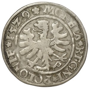 Sigismund I the Old, Grosz 1529, Cracow