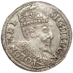 Sigismund III Vasa, Troika 1595, Olkusz