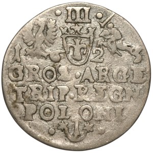 Sigismund III Vasa, Trojak 1623, Cracow.
