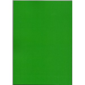 Materiały do dziejów inteligencji polskiej w Królestwie Polskim, Jacek Strzałkowski