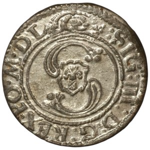 Sigismund III Vasa, Shelrogue 1624, Vilnius