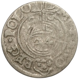 Zygmunt III Waza, Półtorak 1625, Bydgoszcz - leżąca 5