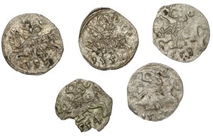 Sigismund II Augustus, Set of denarii 1554-59