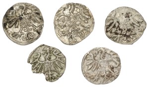 Sigismund II Augustus, Set of denarii 1554-59