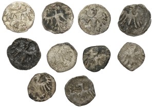 Jagiellonian Poland, Set of denarii
