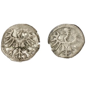 Zygmunt II August, Zestaw denarów 1555