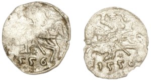 Sigismund II Augustus, Set of denarii 1556