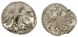 Sigismund II Augustus, Set of denarii 1556