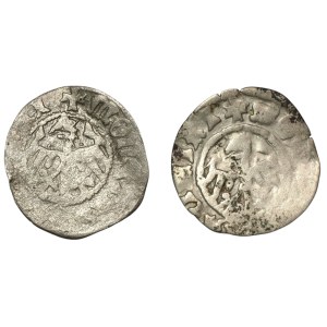 Kazimierz IV Jagiellończyk, Zestaw półgroszy