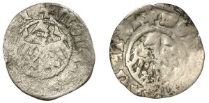 Casimir IV Jagiellon, Set of half-pennies