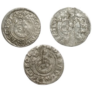 Zygmunt III Waza, Zestaw półtoraków 1614-19