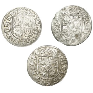 Zygmunt III Waza, Zestaw półtoraków 1614-19