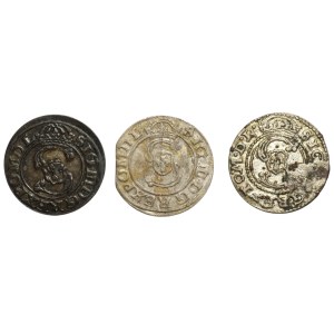 Zygmunt III Waza, Zestaw szelągów 1625-27, Wilno