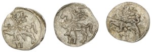 Sigismund II Augustus, Set of two-denarii 1567-70