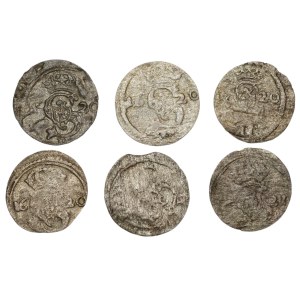 Zygmunt III Waza, Zestaw dwudenarów 1620-21