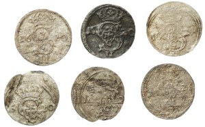 Sigismund III Vasa, Set of two-denarii 1620-21