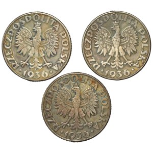 PRL, 2 złote 1936, Żaglowiec, zestaw 3 sztuk