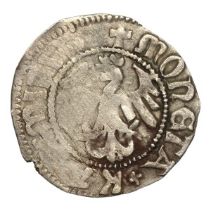 Casimir IV Jagiellon, Half-penny - a forgery to the detriment of collectors