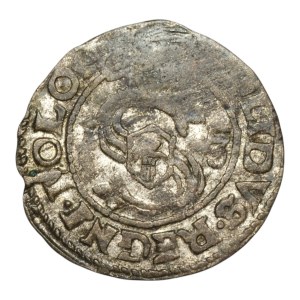 Zygmunt III Waza, Shellegag 1613, Bydgoszcz