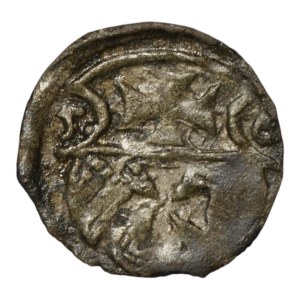 Zygmunt II August, Denar 1556, Elbląg