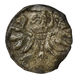 Zygmunt II August, Denar 1556, Elbląg