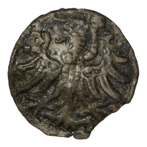 Zygmunt II August, Denar 1554, Gdańsk