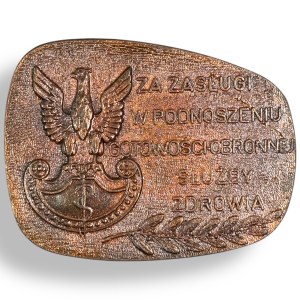 Poland, Medal for meritorious service in improving health care defense preparedness