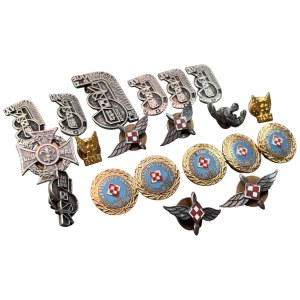 Polish pin set