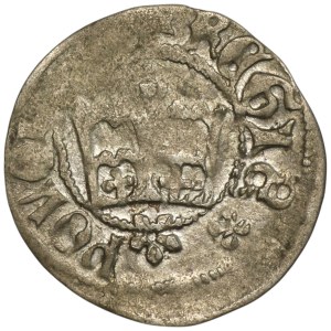 Casimir IV Jagiellonian, Half-penny Cracow