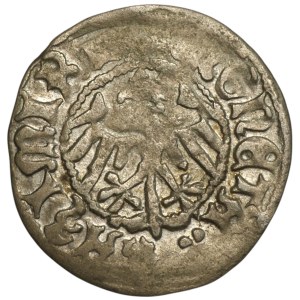 Casimir IV Jagiellonian, Half-penny Cracow