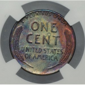 USA, 1 cent 1955, NGC UNC DETAILS, ALTERED COLOR