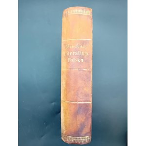 Aleksander Bruckner Dzieje literatury polskiej w zarysie Volume I-II