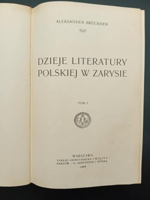 Aleksander Bruckner Dzieje literatury polskiej w zarysie Volume I-II