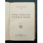 Aleksander Bruckner Dzieje literatury polskiej w zarysie Volume I-II