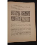 Charles Homolacs Handicrafts as art