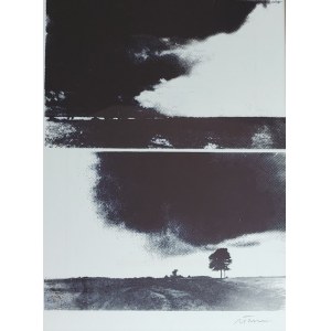 Jan Tarasin, serigrafia