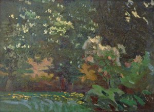 Józef TOR [THOR] (1884-1958) - ?, Kwitnące kasztany