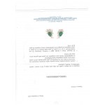 VENTRELLA, VENTRELLA Gold earrings with emeralds and diamonds