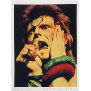 Gijsbert Hanekroot, David Bowie, London 1973, 2016