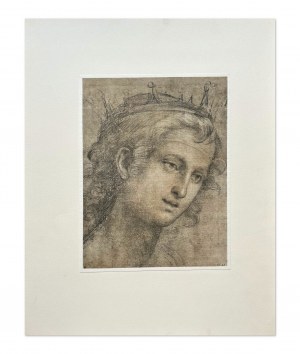 Fra BARTOLOMMEO, A Saint's head