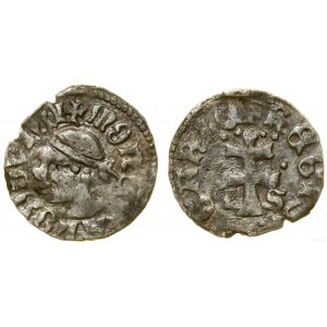 Polska, denar, (ok. 1358-1366)
