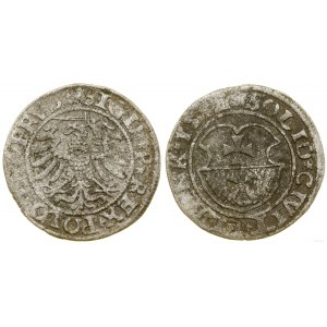 Poland, sheląg, 1532, Elbląg