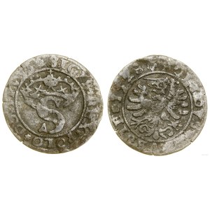 Poland, sheląg, 1528, Toruń