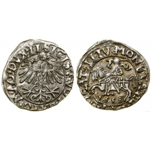 Poland, half-penny, 1558, Vilnius