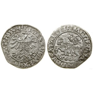 Polsko, půlpenny, 1560, Vilnius